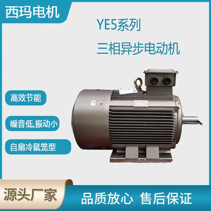 YE5系列超高效低壓三相異步電動機-主圖設(shè)計.jpg